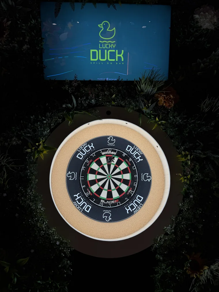 Skreddersydd Lucky Duck-dartskive