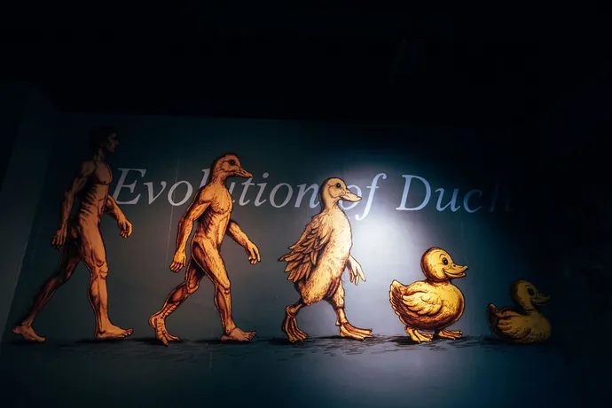 Evolution of Duck-veggmaleri